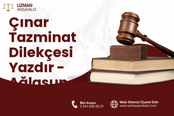 Çınar Tazminat Dilekçesi Yazdır - Ağlasun