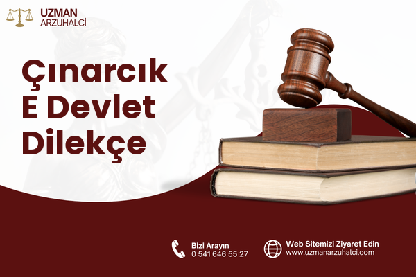 Çınarcık E Devlet Dilekçe