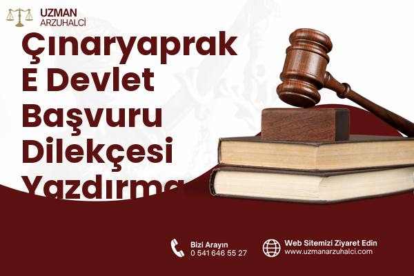 Çınaryaprak E Devlet Başvuru Dilekçesi Yazdırma - Havran