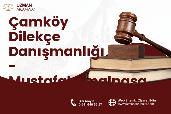 Çamköy Dilekçe Danışmanlığı - Mustafakemalpaşa