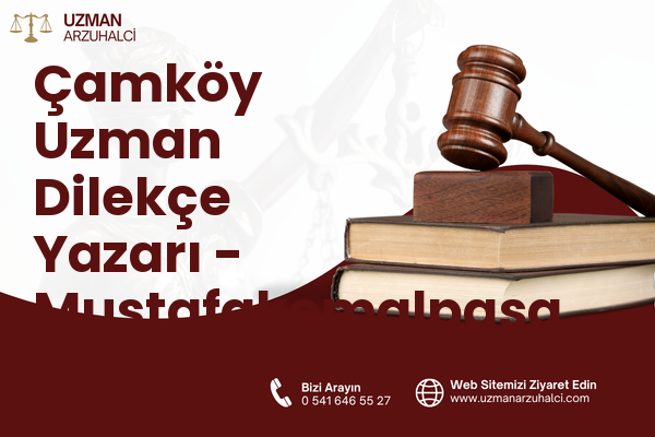 Çamköy Uzman Dilekçe Yazarı - Mustafakemalpaşa