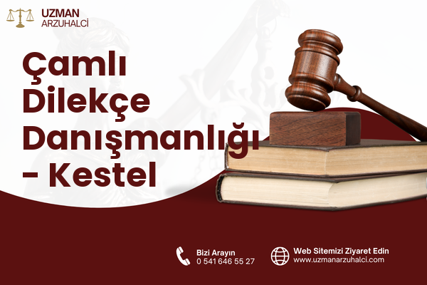 Çamlı Dilekçe Danışmanlığı - Kestel