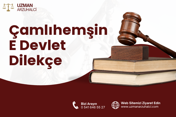 Çamlıhemşin E Devlet Dilekçe