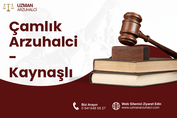 Çamlık Arzuhalci - Kaynaşlı