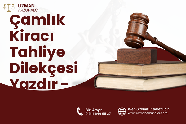 Çamlık Kiracı Tahliye Dilekçesi Yazdır - Bodrum