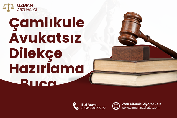 Çamlıkule Avukatsız Dilekçe Hazırlama - Buca