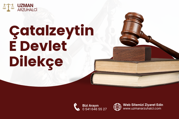 Çatalzeytin E Devlet Dilekçe