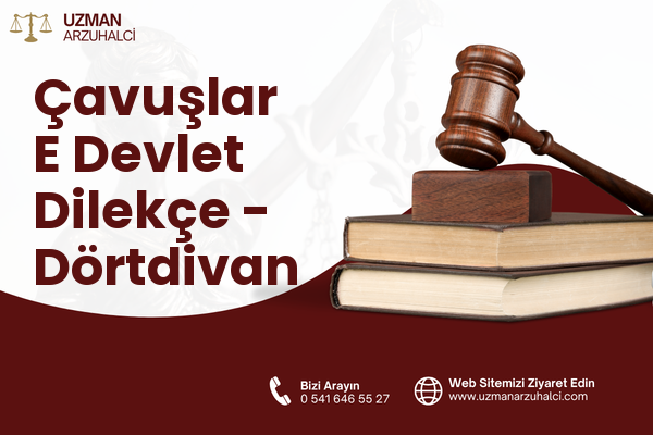 Çavuşlar E Devlet Dilekçe - Dörtdivan