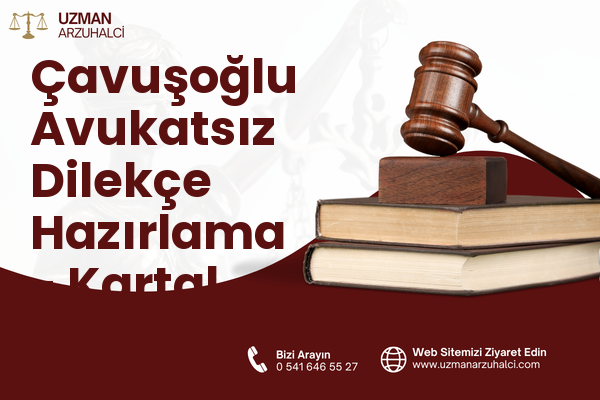 Çavuşoğlu Avukatsız Dilekçe Hazırlama - Kartal