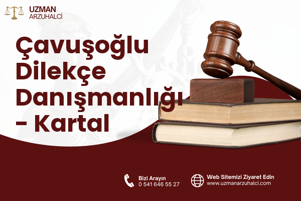 Çavuşoğlu Dilekçe Danışmanlığı - Kartal