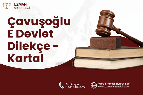 Çavuşoğlu E Devlet Dilekçe - Kartal
