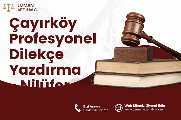 Çayırköy Profesyonel Dilekçe Yazdırma - Nilüfer