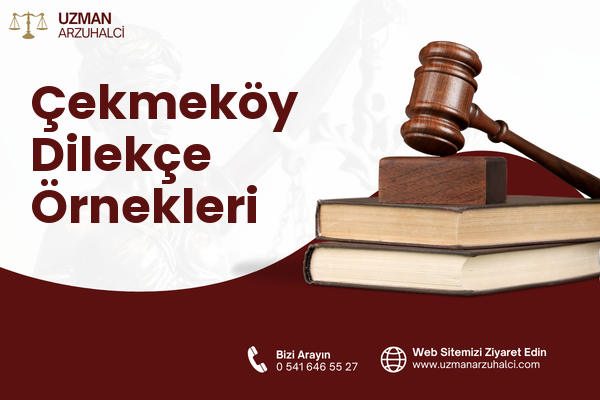 Çekmeköy Dilekçe Örnekleri