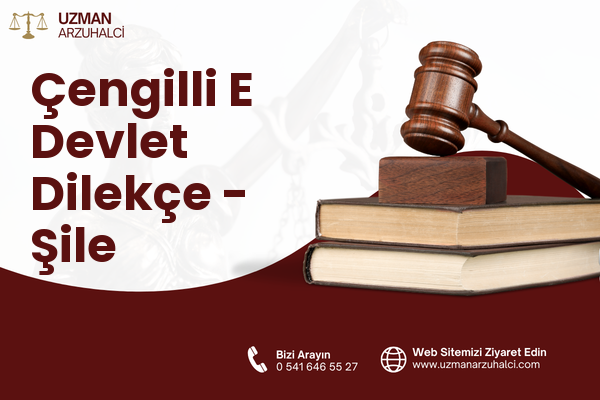 Çengilli E Devlet Dilekçe - Şile