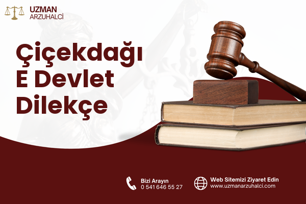 Çiçekdağı E Devlet Dilekçe