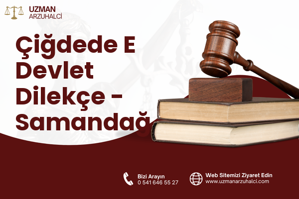 Çiğdede E Devlet Dilekçe - Samandağ