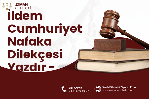 İldem Cumhuriyet Nafaka Dilekçesi Yazdır - Melikgazi