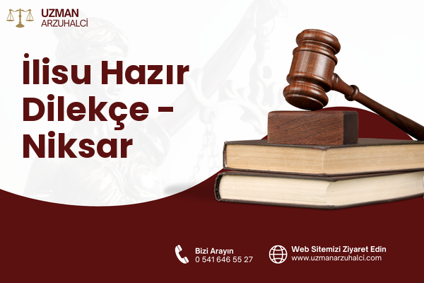 İlisu Hazır Dilekçe - Niksar