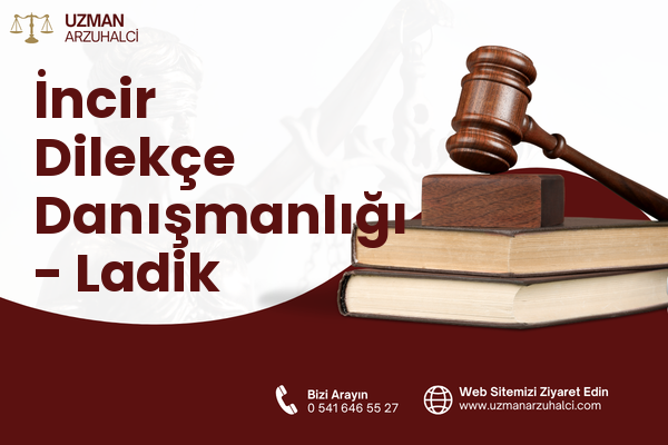 İncir Dilekçe Danışmanlığı - Ladik