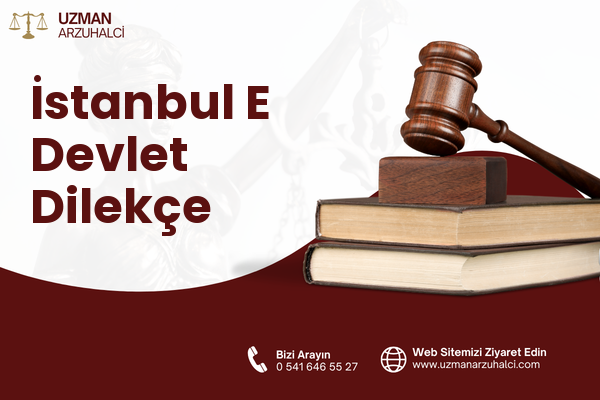 İstanbul E Devlet Dilekçe