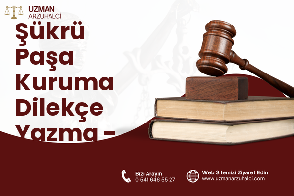 Şükrü Paşa Kuruma Dilekçe Yazma - Erzin