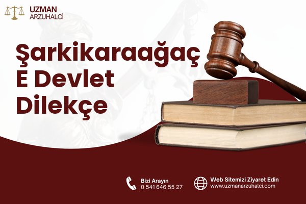 Şarkikaraağaç E Devlet Dilekçe