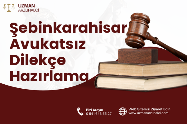 Şebinkarahisar Avukatsız Dilekçe Hazırlama