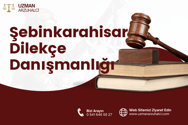 Şebinkarahisar Dilekçe Danışmanlığı