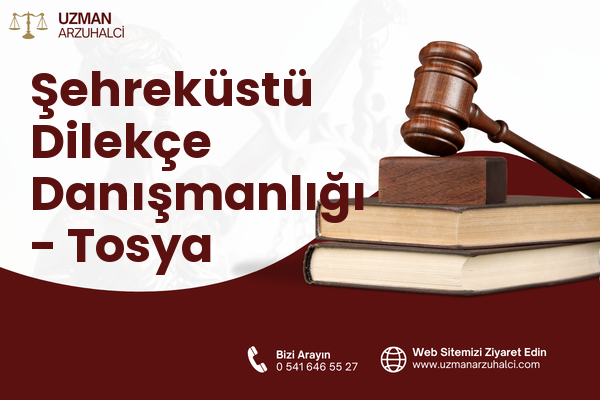 Şehreküstü Dilekçe Danışmanlığı - Tosya