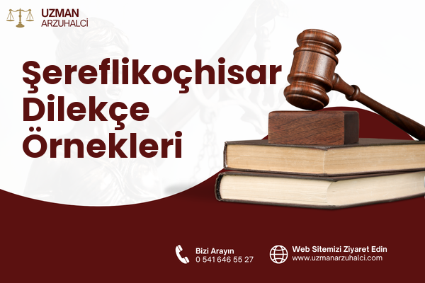 Şereflikoçhisar Dilekçe Örnekleri