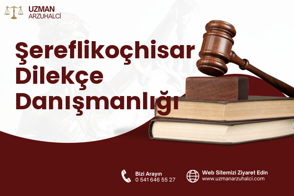 Şereflikoçhisar Dilekçe Danışmanlığı
