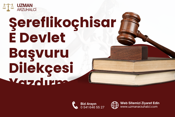 Şereflikoçhisar E Devlet Başvuru Dilekçesi Yazdırma