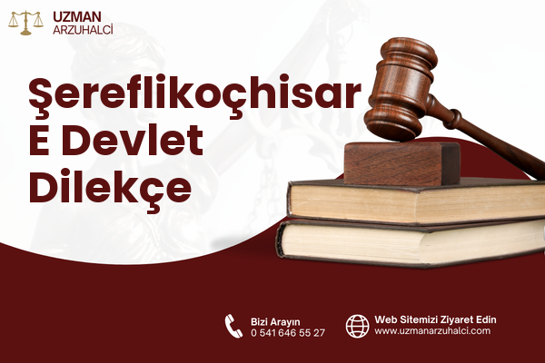 Şereflikoçhisar E Devlet Dilekçe