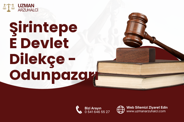 Şirintepe E Devlet Dilekçe - Odunpazarı