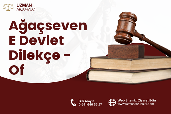 Ağaçseven E Devlet Dilekçe - Of