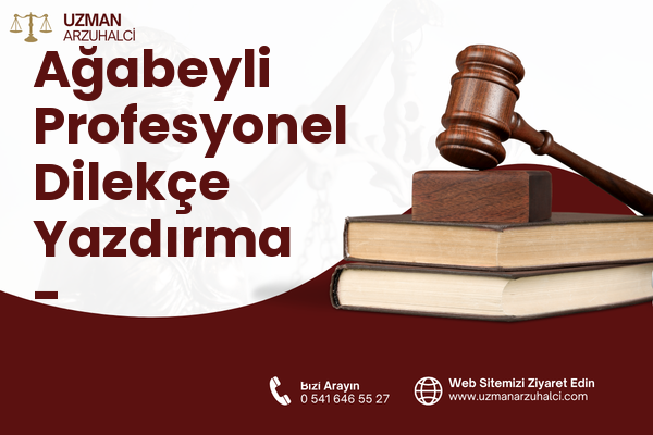 Ağabeyli Profesyonel Dilekçe Yazdırma - Dulkadiroğlu