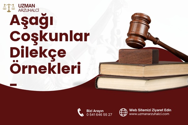 Aşağı Coşkunlar Dilekçe Örnekleri - Eyyübiye