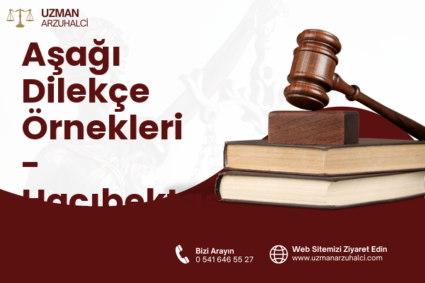 Aşağı Dilekçe Örnekleri - Hacıbektaş