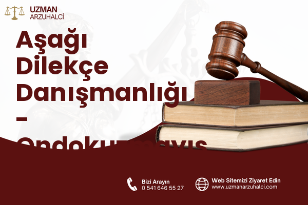 Aşağı Dilekçe Danışmanlığı - Ondokuzmayıs