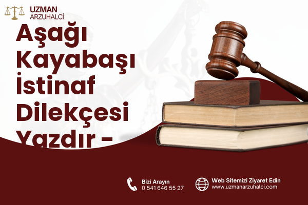 Aşağı Kayabaşı İstinaf Dilekçesi Yazdır - Merkez