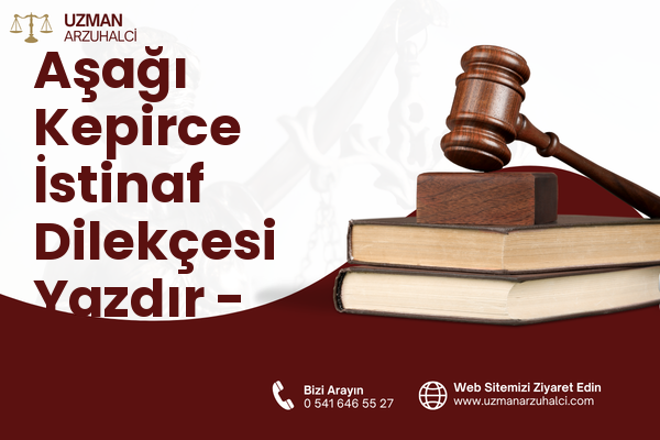 Aşağı Kepirce İstinaf Dilekçesi Yazdır - Arsuz