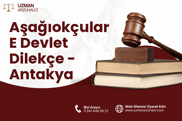 Aşağıokçular E Devlet Dilekçe - Antakya