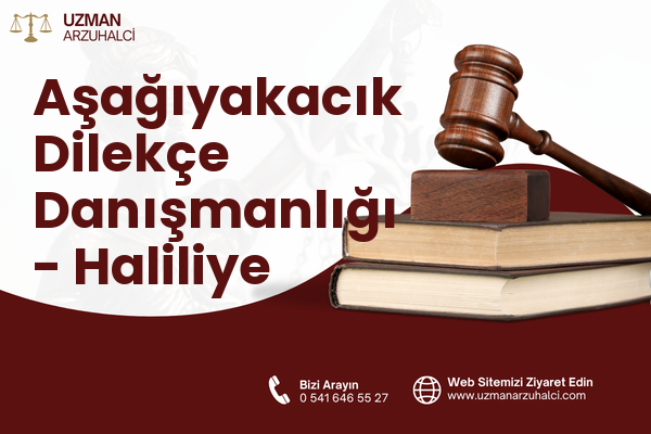 Aşağıyakacık Dilekçe Danışmanlığı - Haliliye