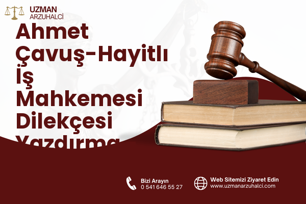 Ahmet Çavuş-Hayitlı İş Mahkemesi Dilekçesi Yazdırma - Milas