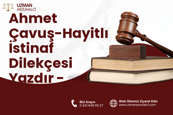 Ahmet Çavuş-Hayitlı İstinaf Dilekçesi Yazdır - Milas