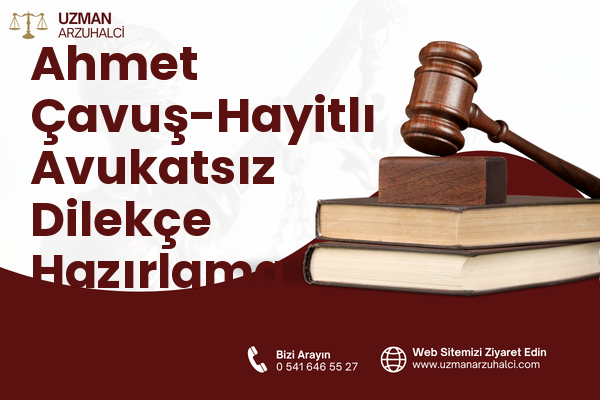 Ahmet Çavuş-Hayitlı Avukatsız Dilekçe Hazırlama - Milas