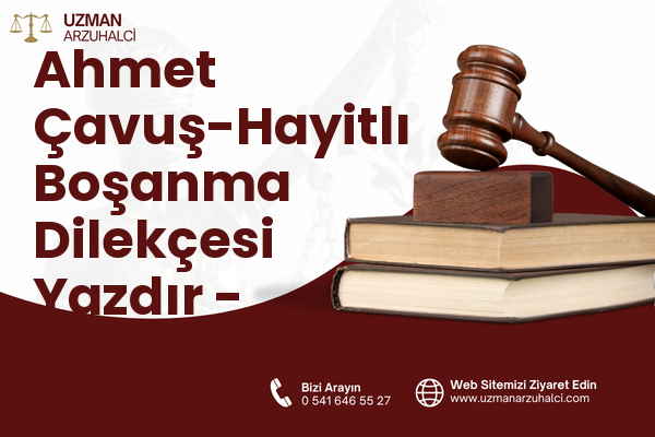 Ahmet Çavuş-Hayitlı Boşanma Dilekçesi Yazdır - Milas