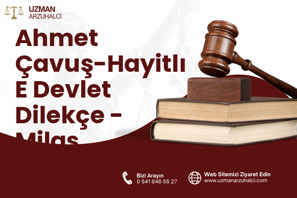 Ahmet Çavuş-Hayitlı E Devlet Dilekçe - Milas