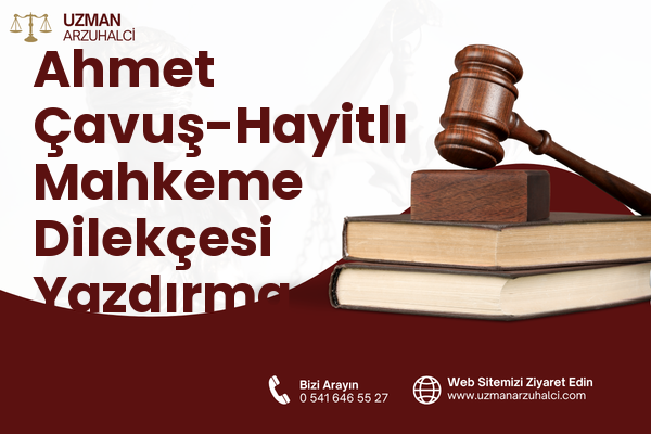 Ahmet Çavuş-Hayitlı Mahkeme Dilekçesi Yazdırma - Milas