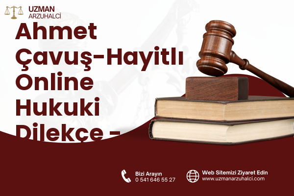 Ahmet Çavuş-Hayitlı Online Hukuki Dilekçe - Milas